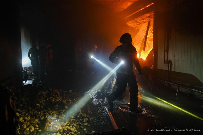  Kawle. Pożar zakładu przetwórstwa drobiowego. 120 strażaków walczy z żywiołem w czwartek, 14 sierpnia. Jeden z nich zaginął [ZDJĘCIA]