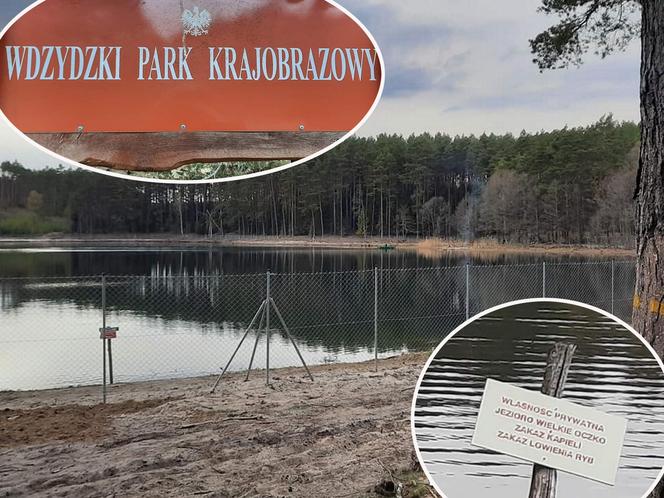 Jezioro Wielkie Oczko ogrodzone płotem. Zwierzęta odcięte od wody. Radny Gdańska: "Takiej dewastacji dawno nie widziałem"