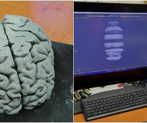 Na KUL-u drukują ludzki mózg. Tak uczą anatomii w 3D! Zobacz zdjęcia 
