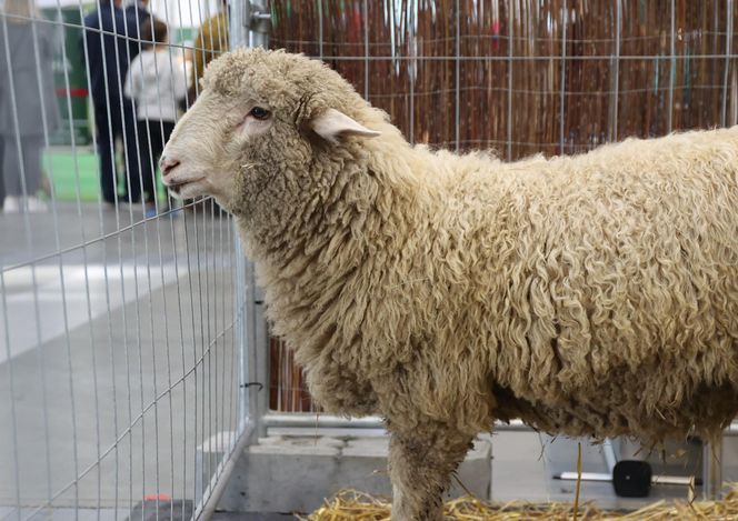 ZooPark ponownie przyciągnął do Targów Lublin tłumy miłośników zwierząt