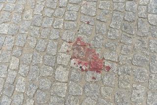 Leciała krew i kebaby. Starcie w centrum Warszawy przy furgonetce antyaborcyjnej 