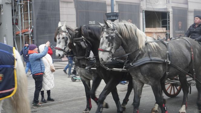 Wielka Szarża w centrum Łodzi. Oddziały konne przeszły przez Piotrkowską