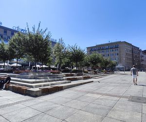 Katowice jak patelnia. Obowiązuje ruch cieniostronny. Nawet gołębie chowają się w cieniu