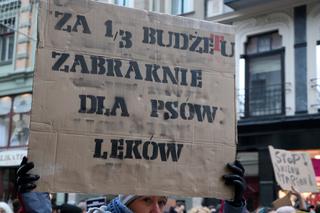 Oni mówią głosem zwierząt! Tak wygladał marsz w obronie zwierząt z Toruńskiego Schroniska [GALERIA, AUDIO]