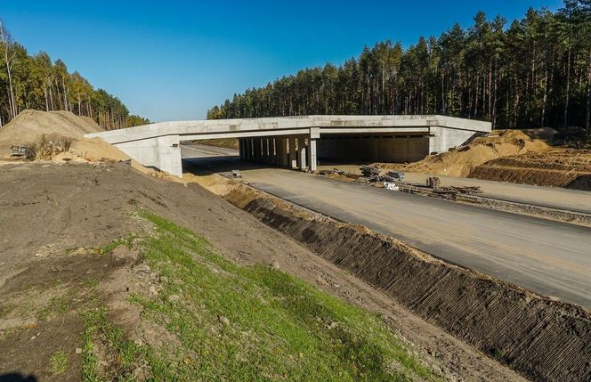 S19 Malewice-Chlebczyn w budowie