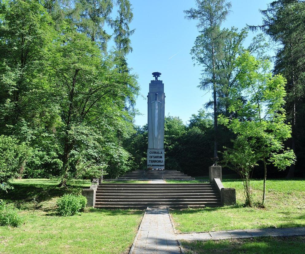 Las Buczyna w Zbylitowskiej Górze. To największy cmentarz ofiar Holocaustu w Polsce