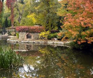 Arboretum Wojsławice prezentuje pełną paletę barw