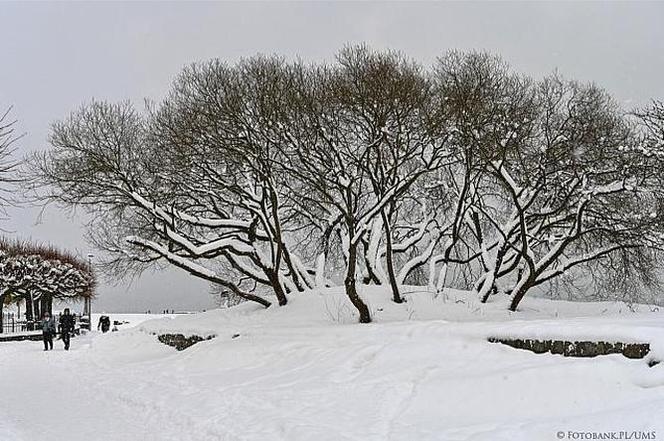Zima 2021 w Sopocie. Kurort pod grubą warstwą śniegu 11.02.2021 r.