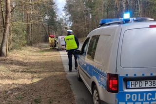 Auto rozbiło się na drzewie. Kierująca miała prawo jazdy zaledwie od 3 miesięcy