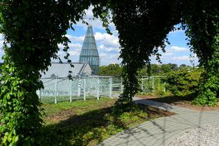 Szukasz plenerów do fotografii? Sprawdź, gdzie robić zdjęcia w Warszawie! [GALERIA]