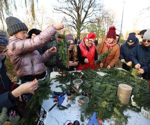 W Gdańsku rozbłysły pierwsze dzielnicowe choinki