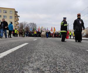 Orszak Trzech Króli w Elblągu