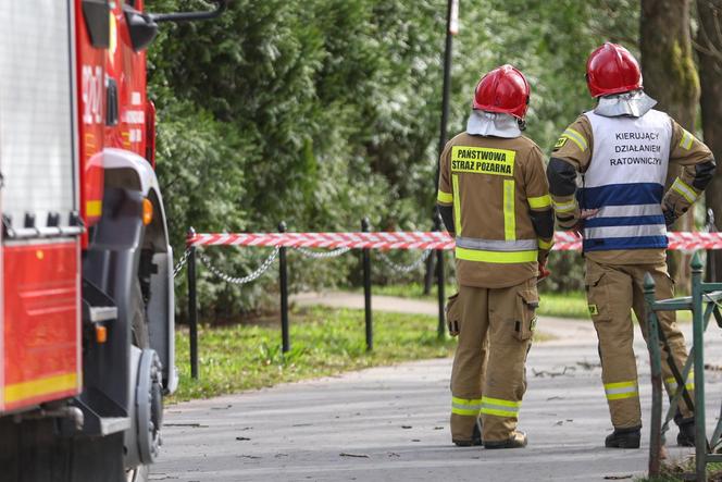 Rabka-Zdrój. Trzy osoby, w tym sześcioletnie dziecko, zginęły przygniecione przez powalone pod naporem wiatru drzewo