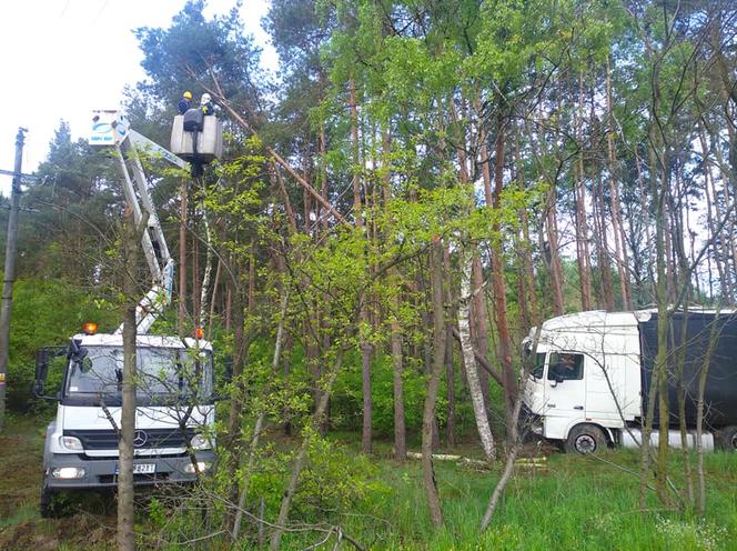 Wypadek na DK 10 w Solcu Kujawskim! Ciężarówka wypadła z drogi i uderzyła w drzewa [ZDJĘCIA]