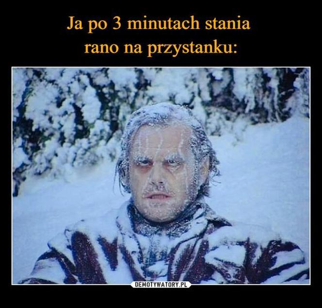 Memy o zimie roztapiają smutki. Te śnieżne obrazki rozbawią cię do łez [TOP 75]