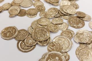 Pierwsze takie znalezisko od ponad 100 lat. Na trop średniowiecznych monet wpadł… pies Kajtuś 