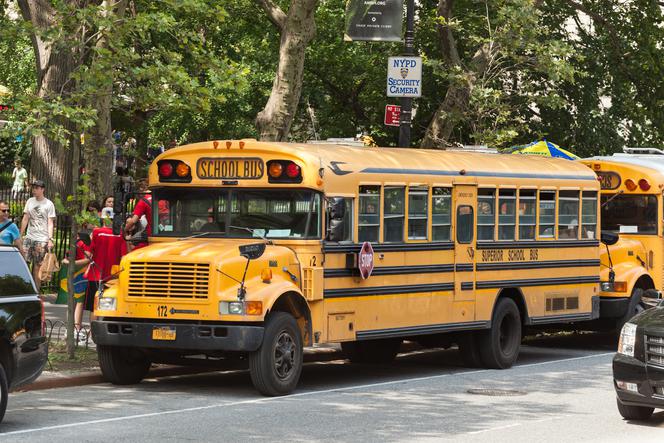 10 rannych w kraksie szkolnego busa