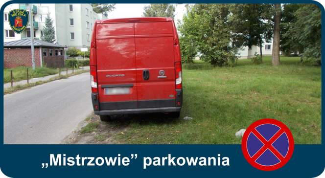 Mistrzowie Parkowania: Tak parkują kierowcy w Warszawie