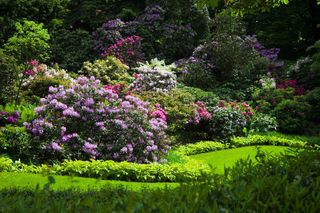 Mało kto wie o tym urokliwym ogrodzie. To idealne miejsce na romantyczną sesję. Znajduje się w Polsce! 