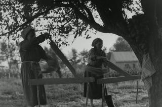 Tak 100 lat temu wyglądał Janów Lubelski! Zobacz te niesamowite zdjęcie