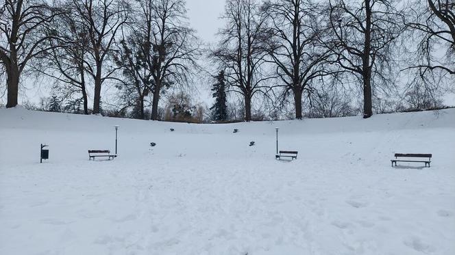Zamojski Park pod śniegiem