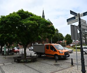 Cyfrowa inwentaryzacja drzew w Kołobrzegu