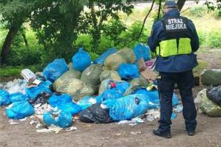 Podrzucili śmieci w krzaki. Spotkała ich najgorsza kara. Mandat to przy tym pikuś