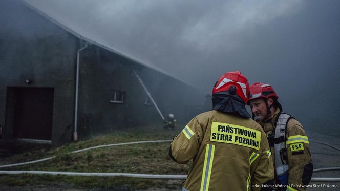 Pożar zakładu meblarskiego w Sadowie