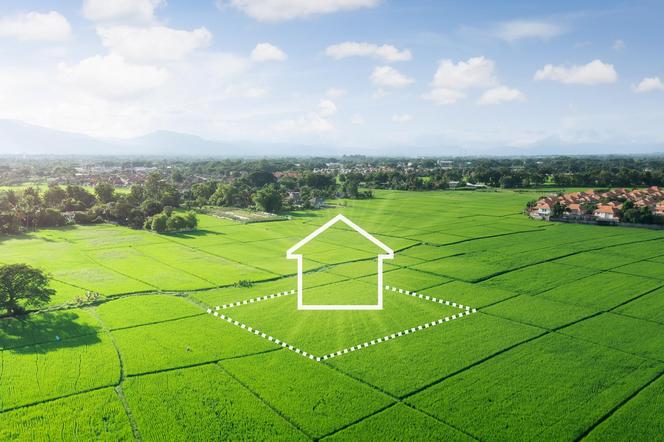 Zielony teren i grafika przedstawiajaca dom
