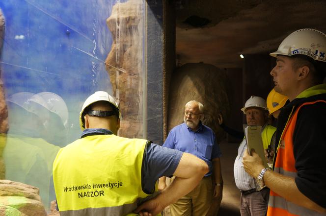 Afrykarium wrocławskiego zoo obchodzi swoje 8. urodziny. Zobacz, jak powstawało [ZDJĘCIA]