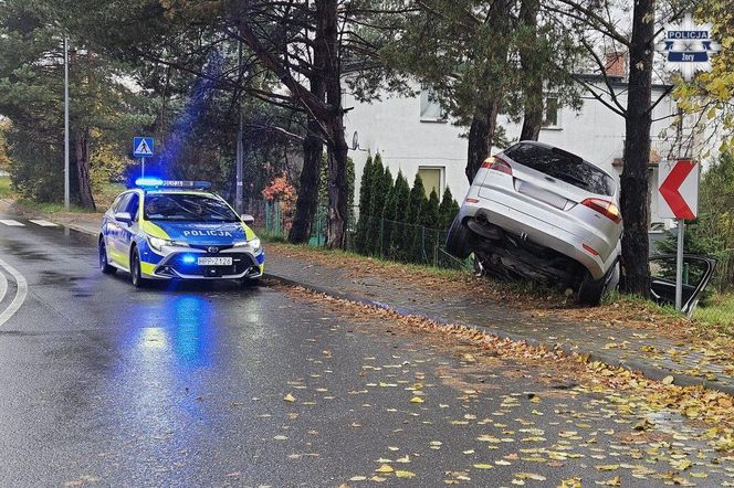 Pijany Ukrainiec rozbił auto na drzewie
