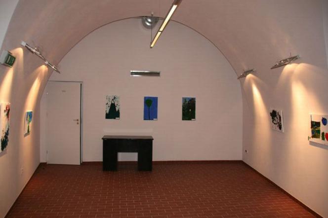 Fort Sokolnickiego 