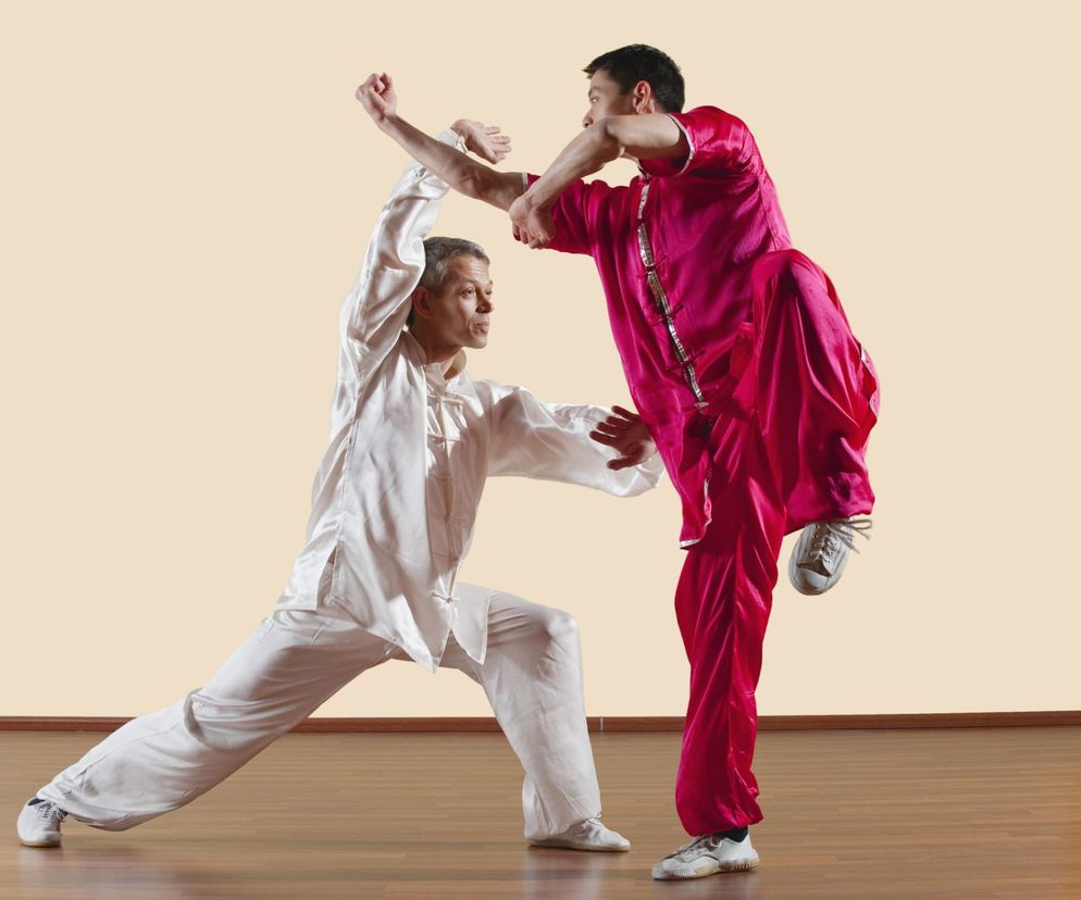 Wśród stylów Kung Fu można wyróżnić m.in. styl Tygrysa czy Płonącego Smoka.