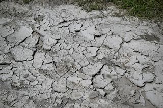 Wisła bliska historycznego minimum. Kryzys hydrologiczny pogłębia się w całym kraju