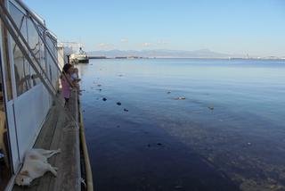 Marina del Sole w Cagliari