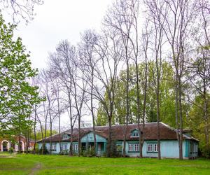 Osiedle Przyjaźń w Warszawie - zobacz zdjęcia drewnianej enklawy wśród zieleni
