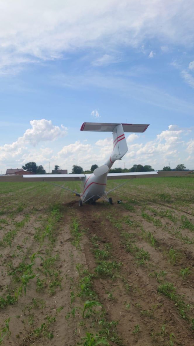 Awionetka dachowała w polu. 79-latek wyszedł bez szwanku. „To był cud” [ZDJĘCIA]