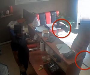 Groza w Celestynowie! Wymachiwał maczetą i żądał kebaba. Teraz grozi mu 20 lat za kratami