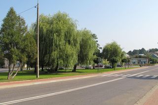 W Sokołach na Podlasiu zaatakowano działaczy PO agitujących na rzecz Trzaskowskiego. Sprawę bada policja