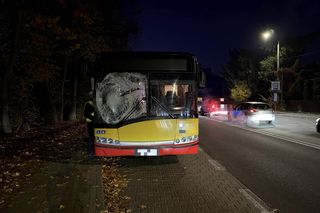 Autobus miejski zderzył się z sarną pod Warszawą. Kierowca został ranny 