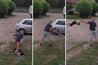 Złapał psa i rzucił nim z całej siły o ziemię! Wstrząsające nagranie obiegło sieć