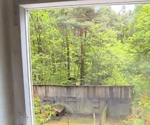 Celestynów. Nastolatkowie zdemolowali cudzy dom. Wyrzucili nawet telewizor przez okno [ZDJĘCIA]