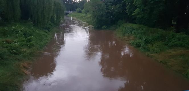Skutki burz na Śląsku. Zalane ulice, stadion pod wodą! [ZDJĘCIA]