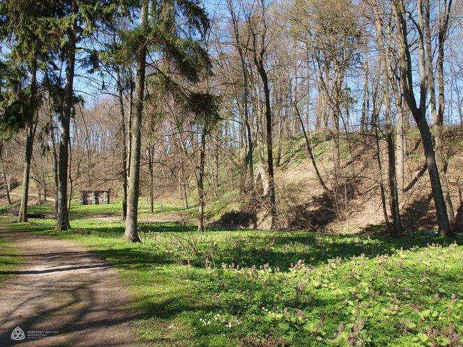 Malutką wieś nazywają "Warmińską Jerozolimą". Przyciąga prawdziwe tłumy