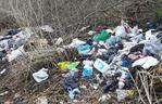 Stosy śmieci w Lesie Bródnowskim