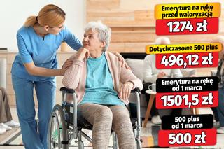 500 plus dla seniorów