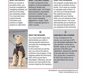 Matura 2025: angielski rozszerzony 8.05.2025. Arkusze CKE i odpowiedzi. Poziom rozszerzony [Formuła 2023]