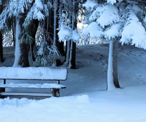 Śnieżyce i ostre mrozy powracają! Pogodowe starcie w Polsce