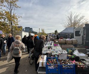 Niedzielny Targ - nowy pchli targ w Poznaniu