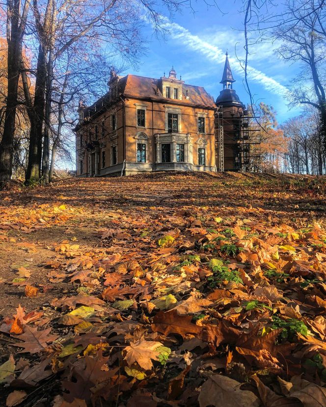 Rzuchów